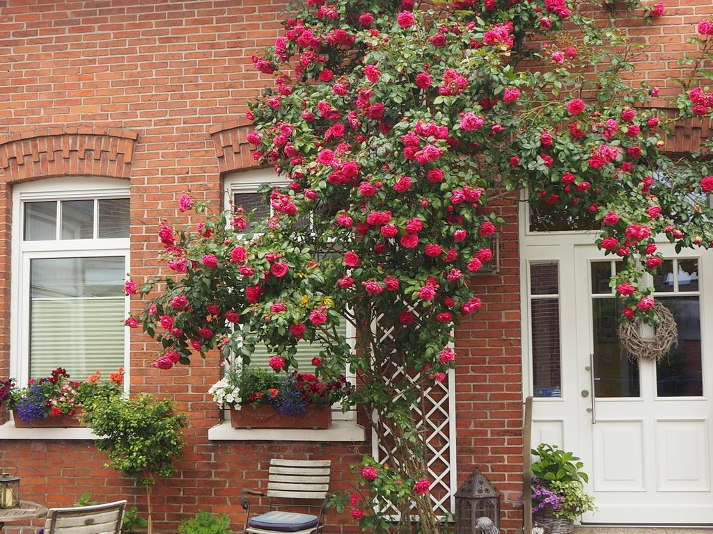 Pension Luettje Meermaid Borkum Exterior photo